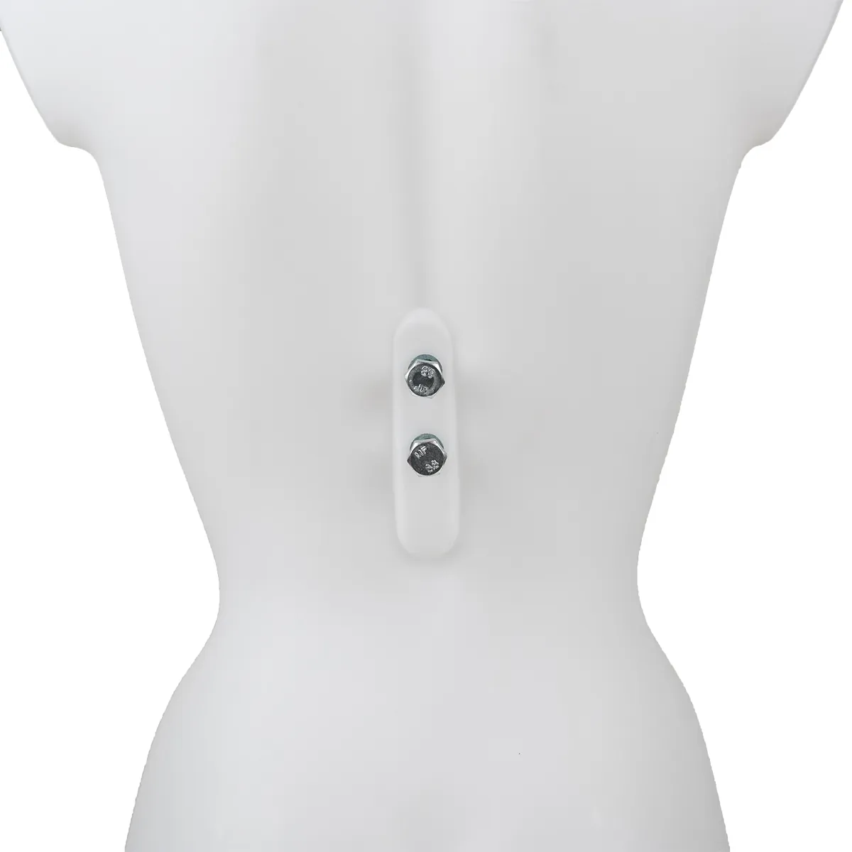 Buste femme plastique H 82 cm - Torse femme plastique - Blanc - Bustes ECO-3