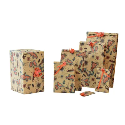 Papier cadeau Transat - 50 cm x 250 m - Papiers cadeaux kraft à motifs-3