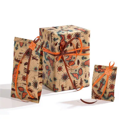 Papier cadeau Transat - 70 cm x 250 m - Papiers cadeaux kraft à motifs-2