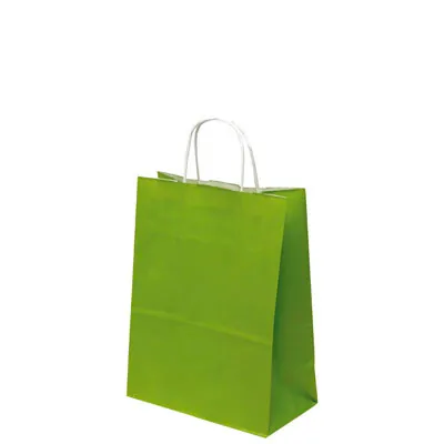 Sac kraft vert amande à poignées torsadées 35+14x44cm 90g/m² (x50) - Sacs kraft couleur poignées torsadées