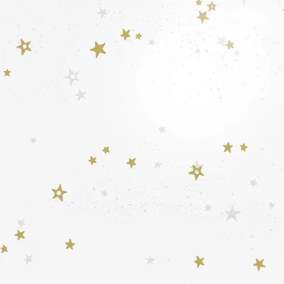 Film fleuriste - Film polypropylène Étoiles or 80 cm x 120 m 35µ - Films polypropylène à motifs-1