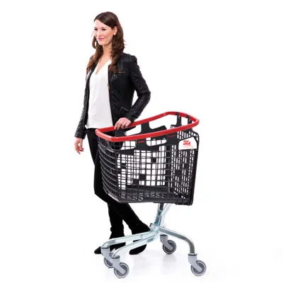 Chariot Shop & Roll Loop - Chariots magasin, caddies magasin-3