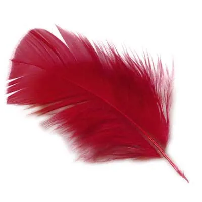 Plume rouge artificielle L 10 cm - Plumes décoratives - Sachet de 30g - Plumes