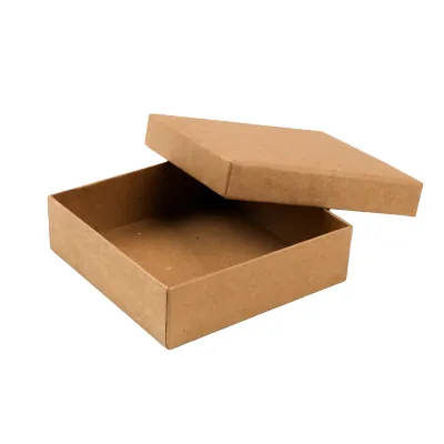 Boîtes kraft - Boites cloches-2