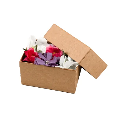 Boîtes kraft - Boites cloches-3