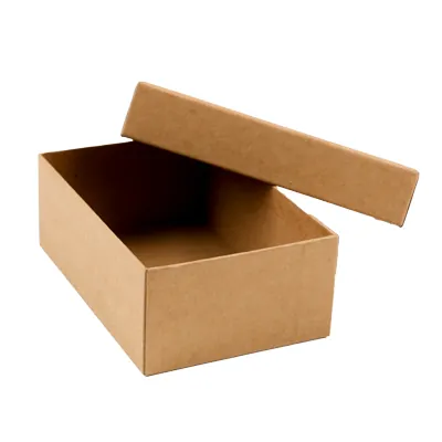 Boîtes kraft - Boites cloches-2