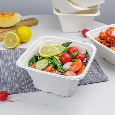 Bol salade 700 ml fibre végétale 17,5 x 17,5 x 5,5 cm - Bol salade biodégradable - Lot de 50 - Boîtes salade, Bols salade-1
