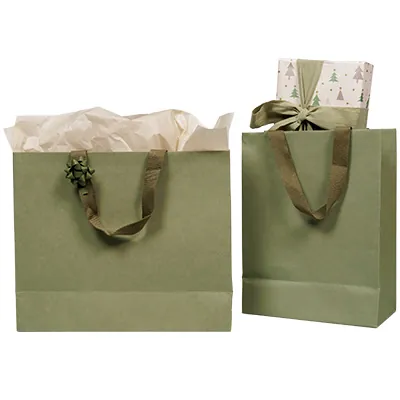Sacs cadeaux kraft - vert tilleul - 36 + 13 x H 30 cm - Sacs kraft luxe-3