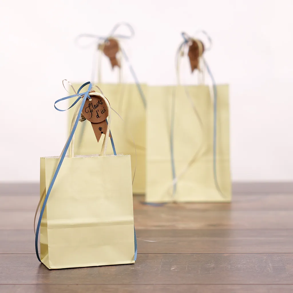 Sac kraft jaune pastel à poignées torsadées 12+6x15cm 120g/m² (x50) - Sacs kraft couleur poignées torsadées-3