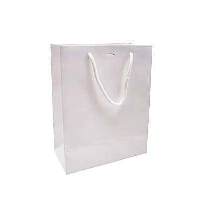 Sacs pelliculés blanc mat avec fenêtre - 22 + 11 x 28 cm - Sacs pelliculés poignées cordelette-1