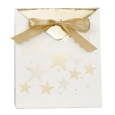 Pochettes cadeaux Étoiles - blanc / or - moyen modèle - Pochettes cadeaux luxe-1