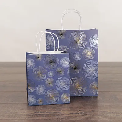 Sac cadeau kraft poignées torsadées bleu marine Feu d'artifice 18 + 10 x 22 cm - Paquet de 20 - Sacs kraft luxe-2