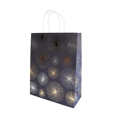 Sac cadeau kraft poignées torsadées bleu marine Feu d'artifice 24 + 10 x 31 cm - Paquet de 20 - Sacs kraft luxe