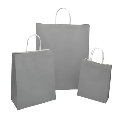 Sac kraft gris poignées torsadées 24x12x31cm – Paquet de 50 - Sacs kraft couleur poignées torsadées-1