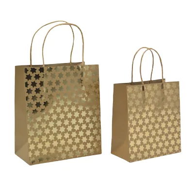 Sac cadeau kraft à étoiles dorées poignées torsadées 18x10x21 cm – Paquet de 20 - Sacs kraft à motifs-1