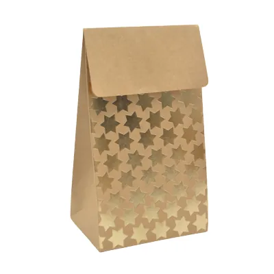 Pochette cadeau papier kraft à rabat motif étoiles dorées 9,5x6,5x16,2 cm – Sachet cadeau - Paquet de 20 - Pochettes cadeaux luxe