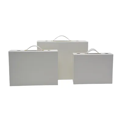 Boîte cadeau carton blanche avec poignée 24x18,2x8cm – Paquet de 5 - Boites carton avec poignée-2