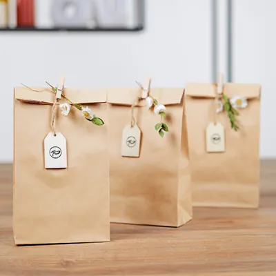Sac SOS kraft brun 13 x 7 x 24 cm 75 g/m² – Sac kraft sans poignée - Lot de 250 - Sacs SOS-7