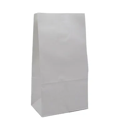 Sac SOS kraft blanc 19 x 12 x 36 cm 75 g/m² – Sac kraft sans poignée - Lot de 250 - Sacs SOS-1