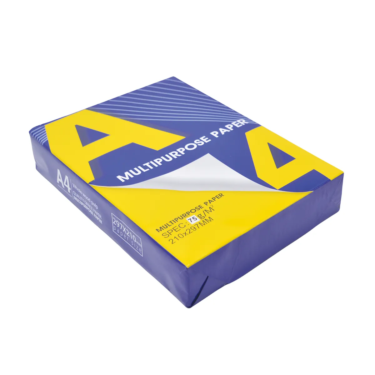 Papier blanc A4 économique 75g – Carton de 5 ramettes - Papier imprimante