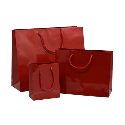 Sac pelliculé rouge framboise poignées cordelette 22,9 x 9,8 x 17,8 cm 157g – Paquet de 20 - Sacs pelliculés poignées cordelette-1