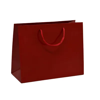 Sac pelliculé rouge framboise poignées cordelette 22,9 x 9,8 x 17,8 cm 157g – Paquet de 20 - Sacs pelliculés poignées cordelette