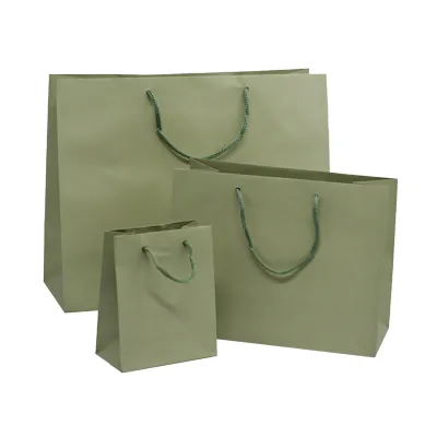 Sacs pelliculés à l'italienne vert tilleul mat - Grand Modèle - Sacs pelliculés poignées cordelette-1