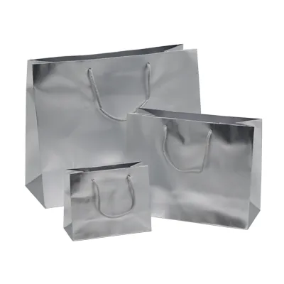 Sacs pelliculés argent mat - 13,5 + 6 x H 11 cm - Sacs pelliculés poignées cordelette-2