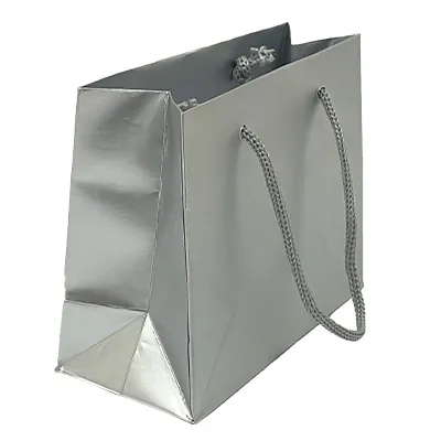 Sacs pelliculés argent mat - 13,5 + 6 x H 11 cm - Sacs pelliculés poignées cordelette-1