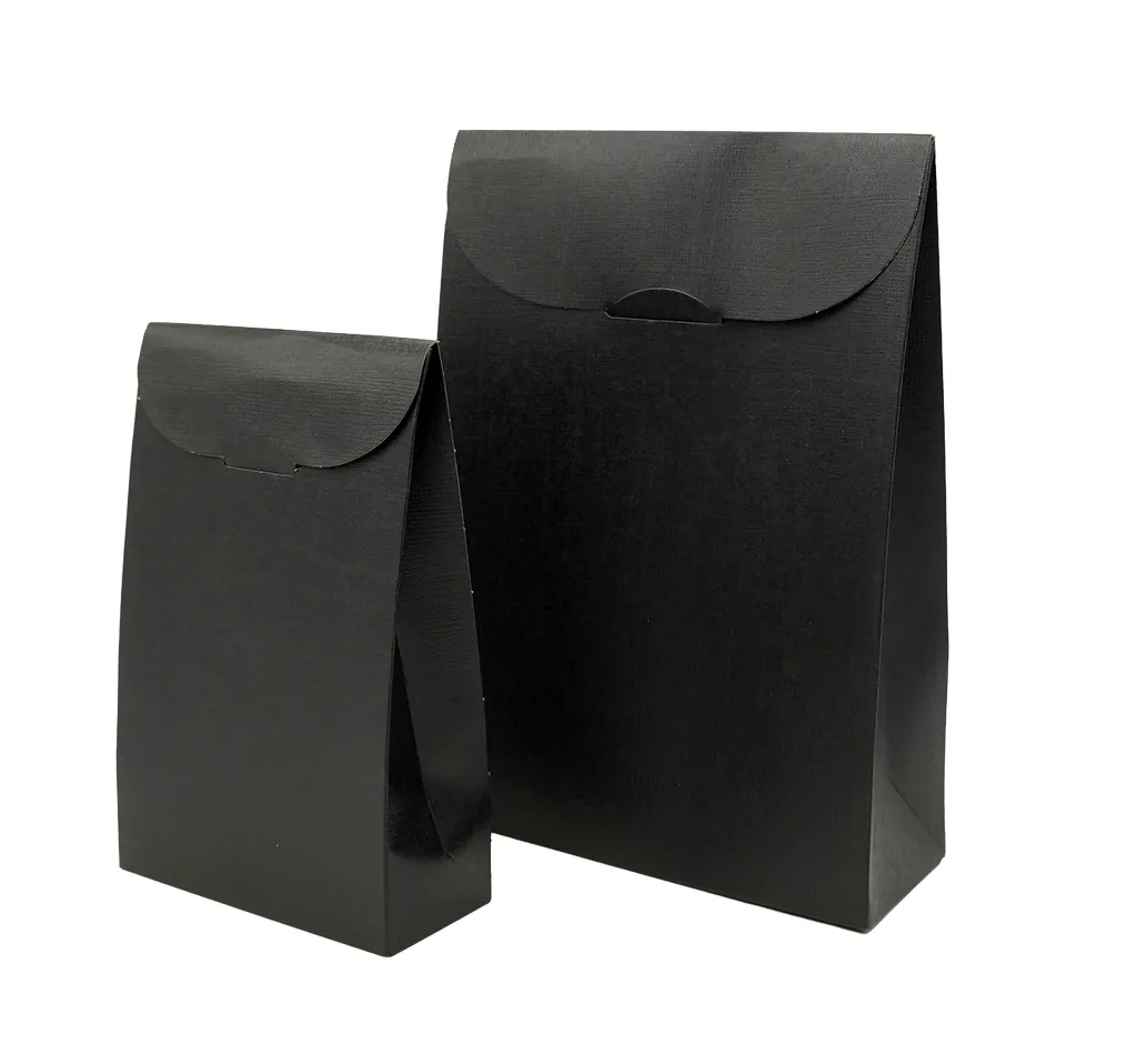 Pochette cadeau noire carton finition luxe 17 x 7 x 23,5 cm - Paquet de 10 - Pochettes cadeaux luxe-3