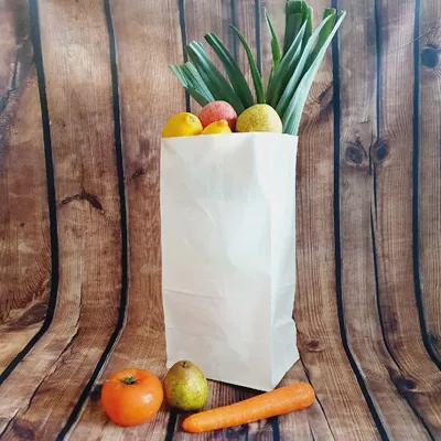 Sac SOS kraft blanc 20 x 16 x 40 cm 70 g/m² – Sac kraft sans poignée - Lot de 500 - Sacs SOS-1