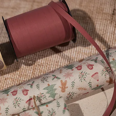 Bolduc mat amarante 10 mm x 250 m polypropylène - Bolducs unis-2