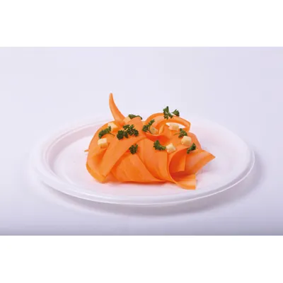 Assiette plastique réutilisable ø 22 cm - Assiette plate réutilisable - Blanc - Lot de 25 - Assiettes jetables, Assiettes plastique réutilisables-1