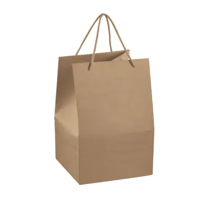 Sac kraft cartonné brun poignées torsadées 24,5 x 24,5 x 33,5 cm - Sac papier kraft - Paquet de 10 - Sacs vente à emporter
