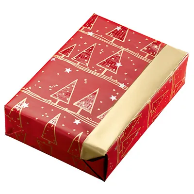 Papier cadeau Alpach - Papier cadeaux couchés à motifs-2