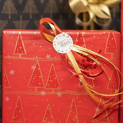 Papier cadeau Alpach - Papier cadeaux couchés à motifs-3