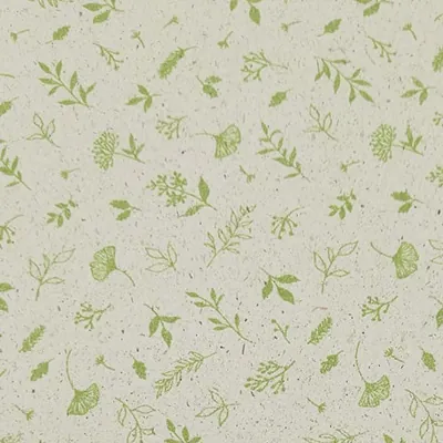 Papier cadeau Herbier Jane - Papiers cadeaux kraft à motifs