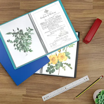 Porte-vues A4 60 vues – Protège-documents 30 pochettes souple - Vert - Protèges-documents, Porte-vues-2