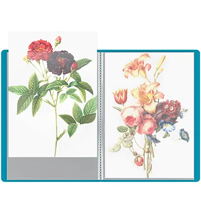 Porte-vues A4 80 vues – Protège-documents 40 pochettes souple - Vert - Protèges-documents, Porte-vues-1