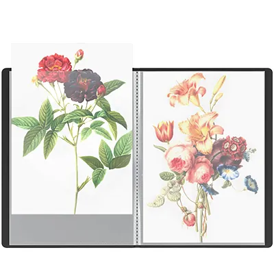 Protège-documents 50 pochettes souple - Porte-vues A4 100 vues - Noir - Protèges-documents, Porte-vues-3