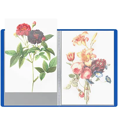 Protège-documents 50 pochettes souple - Porte-vues A4 100 vues - Bleu - Protèges-documents, Porte-vues-1