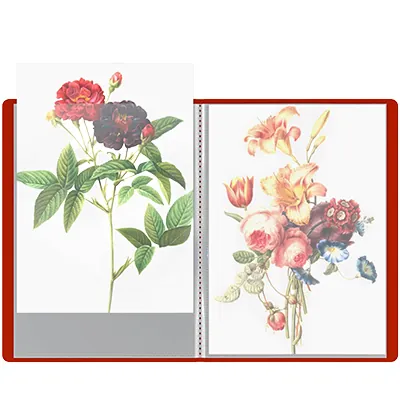 Protège-documents 50 pochettes souple - Porte-vues A4 100 vues - Rouge - Protèges-documents, Porte-vues-1
