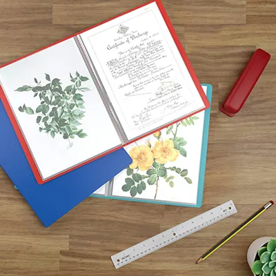 Protège-documents 50 pochettes souple - Porte-vues A4 100 vues - Rouge - Protèges-documents, Porte-vues-2