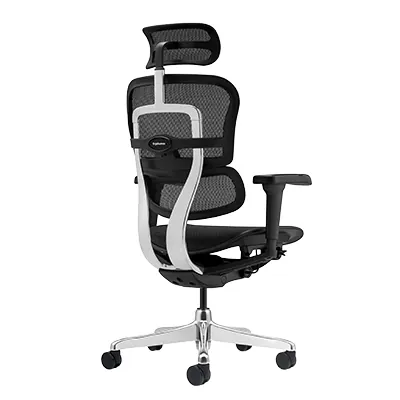 Siège de bureau ergonomique synchrone Ergohuman Ultra translation 12 zones - Noir - Sièges de bureaux-2