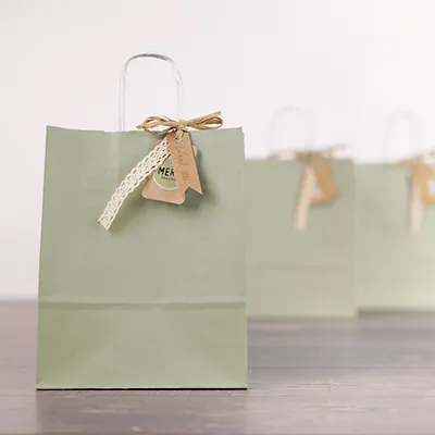 Sacs kraft vert tilleul à poignées torsadées 19+8x23,5cm 90g/m² (x50) - Sacs kraft couleur poignées torsadées-2