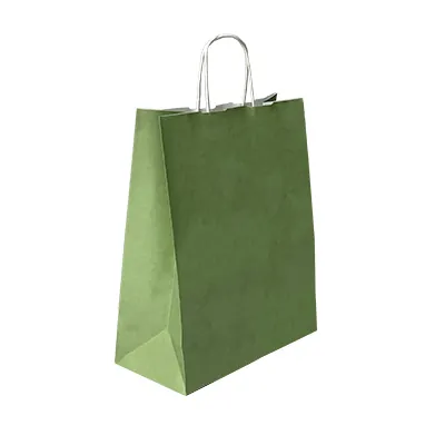 Sac kraft vert tilleul à poignées torsadées blanches – L 24 + 12 x H 31 cm – Paquet de 50 - Sacs kraft couleur poignées torsadées