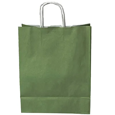 Sac kraft vert tilleul à poignées torsadées blanches – L 24 + 12 x H 31 cm – Paquet de 50 - Sacs kraft couleur poignées torsadées-1