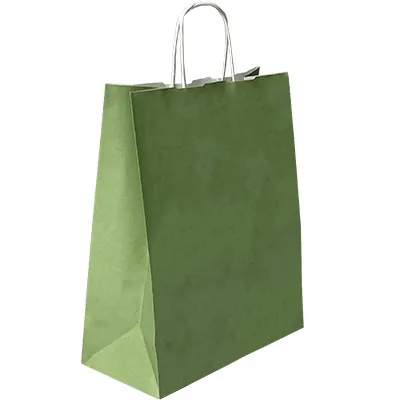 Sacs kraft vert tilleul à poignées torsadées 36+13x44,5cm 90g/m² (x50) - Sacs kraft couleur poignées torsadées
