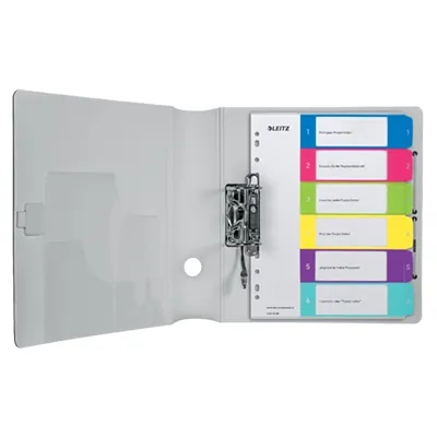 Intercalaires imprimables A4 maxi 6 touches multicolores polypropylène - WOW Leitz - Intercalaires et Trieurs-1