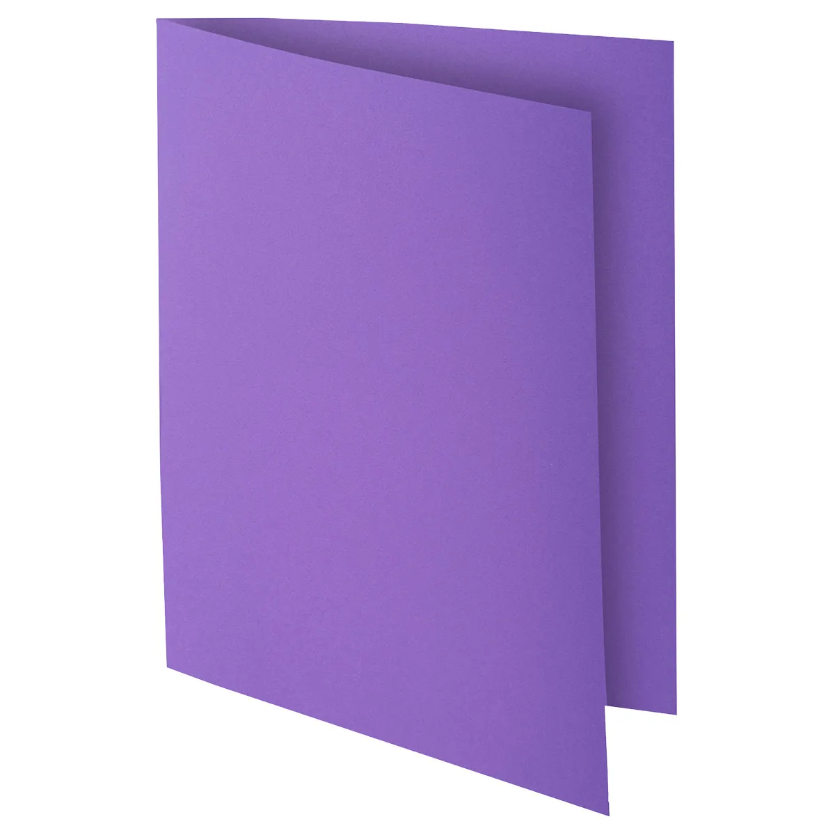 Sous-chemise 22x31cm 80g Rock's 80 Exacompta - 10 couleurs vives - Paquet de 100 - Chemises à élastique, Chemises dossier-3
